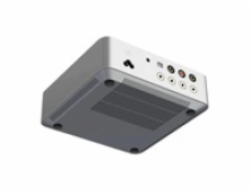 WiiM Vibelink Amp - Silver