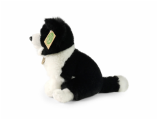 Rappa Plyšový pes border kolie 23 cm SOFT COLLECTION, ECO-FRIENDLY