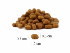 PLATINUM MeatCrisp Adult Fish - suché krmivo pro kočky - 400g