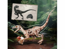 RoboTime 3D dřevěná mechanická skládačka Velociraptor