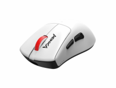 Marvo Monka Rapid, bílá