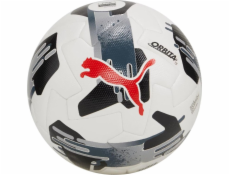 Puma Fotbal Puma Orbita 1 TB FIFA Quality Pro bílo-šedá 84322 02 5