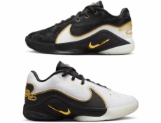 Nike Boty LEBRON XXII BHM GS HV8616-100