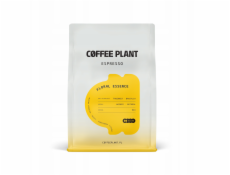 Coffee Plant KÁVOVÁ ROSTLINA - Květinová esence Espresso 250g