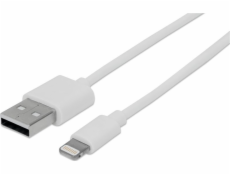 Techly Kabel USB Kabel Techly USB 2.0 USB-A na Apple Lightning 8-pin MFi M/M 1m