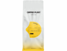 Coffee Plant KÁVOVÁ ROSTLINA - Intenzivní espresso 1kg