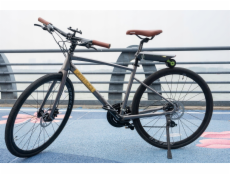 Ducati PLATINER POSILOVAČ ELEKTRICKÝCH KOLA 200W 25 KM/H DOJEM 50 KM S APLIKACÍ