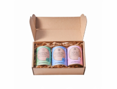 Dworzysk - Sada květin počasí