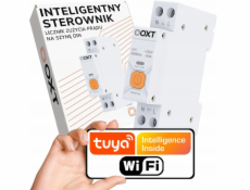OXT Inteligentní ovladač | 63A | Měřič | WiFi | Tuya T335
