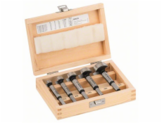 Bosch 5dílná sada vrtáků do dřeva (2607018395)