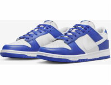 Nike Dunk Low FN3416-001 šedá 40