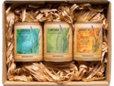 Dworzysk Dworzysk - Zdravý den - Sada