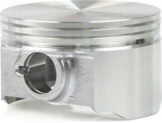 Tvardy Píst pro jednotku T05012 (1)