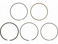Tvardy Pístní kroužky pro jednotku T05011 (1)