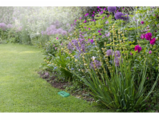 Osram SMART+ RF senzor vlhkosti půdy | Zelený