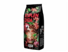 Blue Bird Republic Kávová zrna Beans Republic Esplendida 1kg