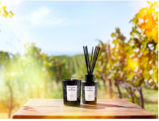 NoName ACQUA DI PARMA Meets Luce Tenuta Luce Toscana vonný difuzér s rákosím 180ml