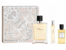 Hermes Terre D hermes sprchový gel 40 ml miniaturní sáček 15 ml toaletní voda 100 ml