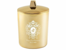 Tiziana Terenzi Draco vonná svíčka 170g