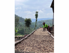 NoName RWANDA MUHABURA NATURAL ESPRESSO zrnková káva 1kg