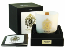 Tiziana Terenzi Vonná svíčka Spicy Snow 170g