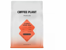 Coffee Plant Kávová zrna Etiopie Taferi Kela s promytým filtrem 250 g