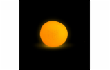 5512976