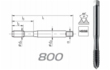 5981269