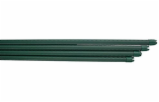 6464031