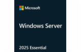 6519904