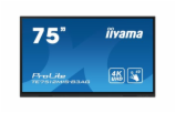 6947313
